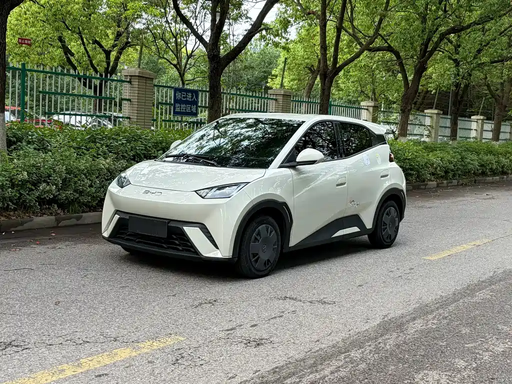 BYD Seagull 2024