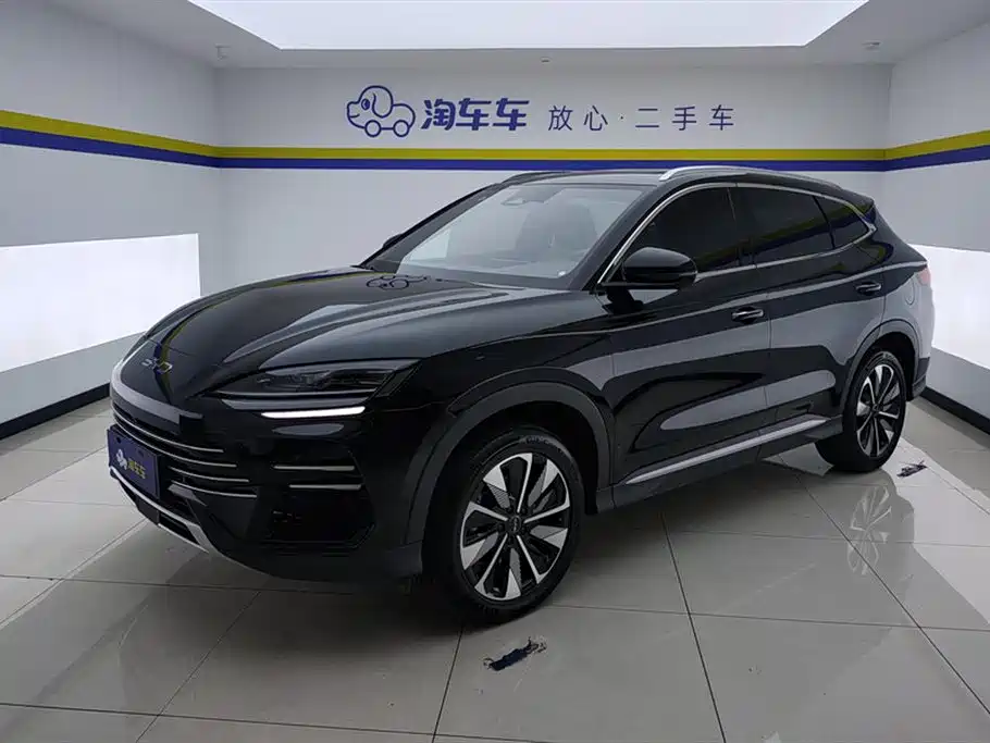 BYD PLUS New Energy 2025