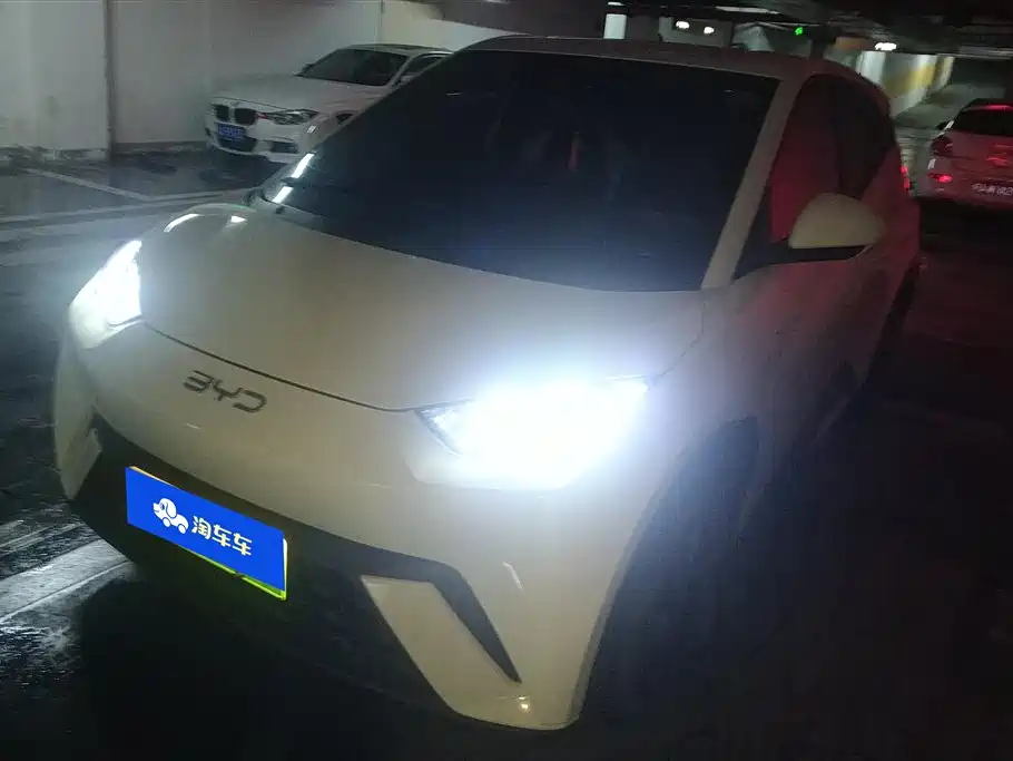 BYD Seagull 2024