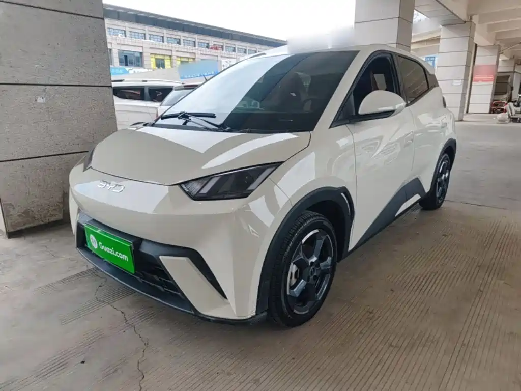 BYD Seagull 2024