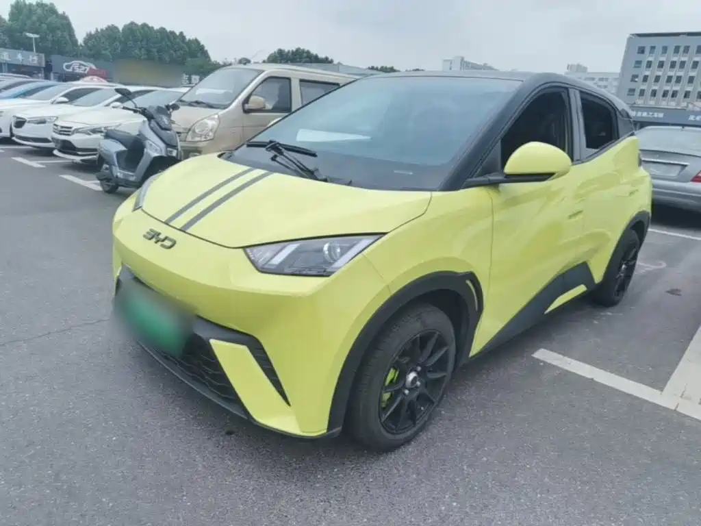 BYD Seagull 2024