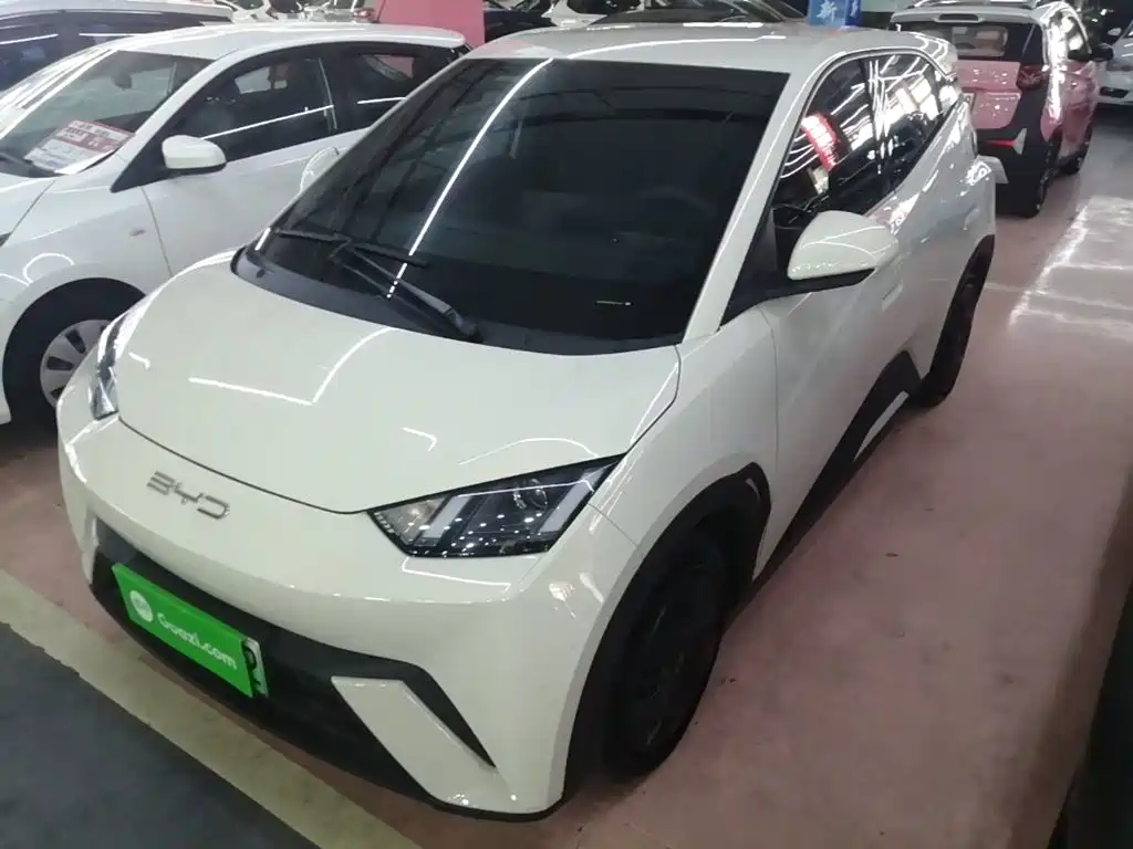 BYD Seagull 2024