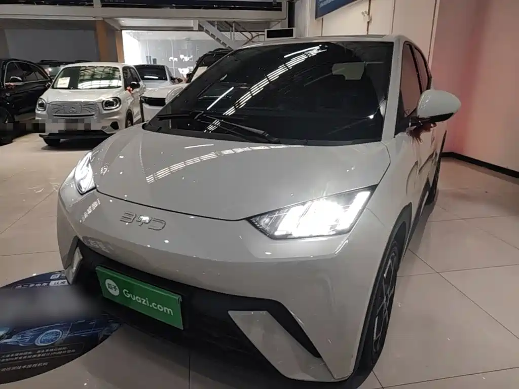 BYD Seagull 2024