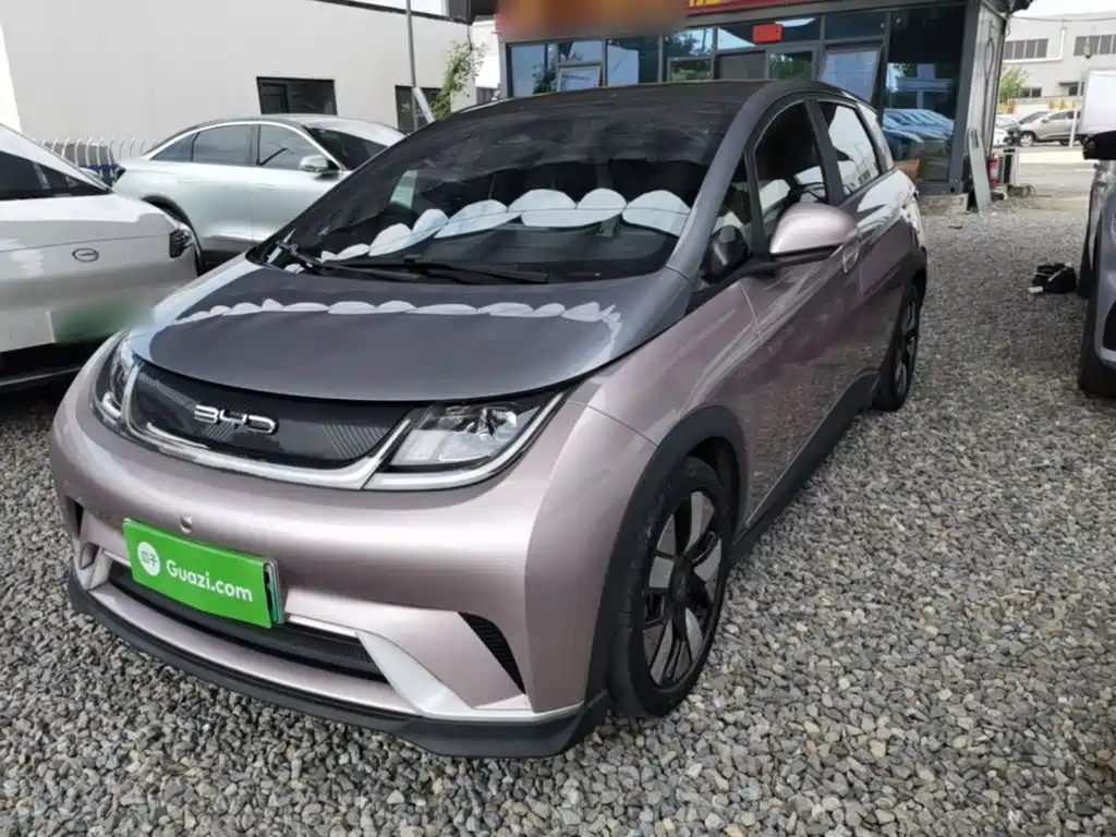 BYD Dolphin 2022