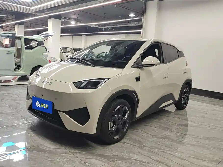 BYD Seagull 2025