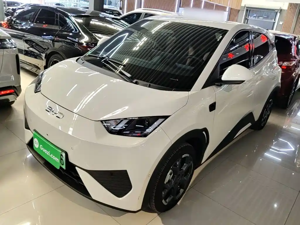 BYD Seagull 2025