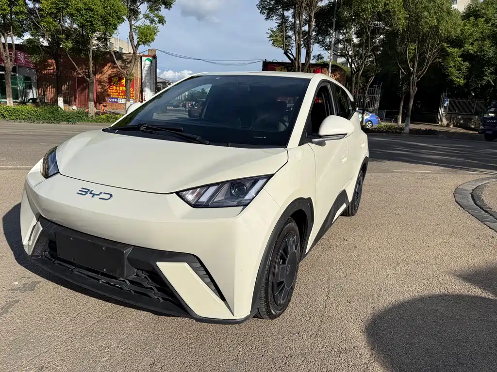 BYD Seagull 2025