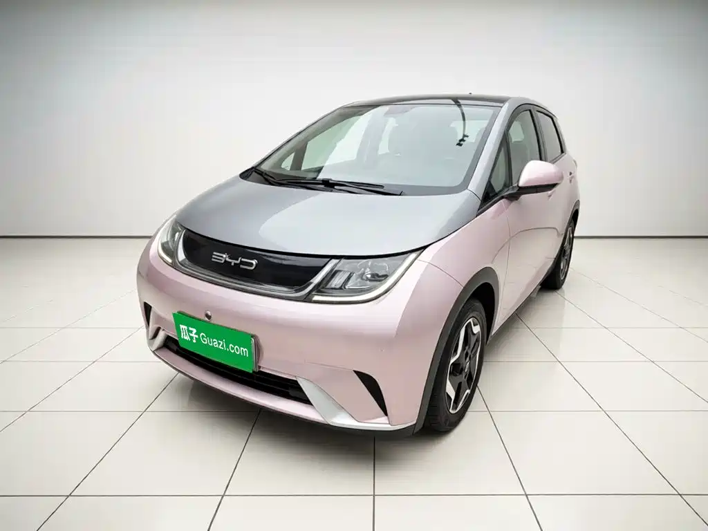 BYD Dolphin 2022