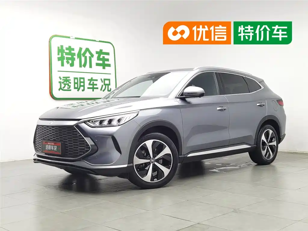 BYD PLUS New Energy 2022