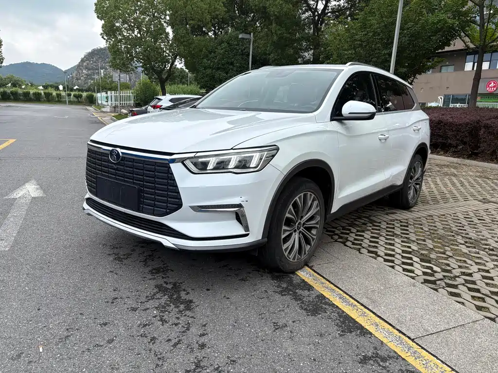 BYD Pro New Energy 2021