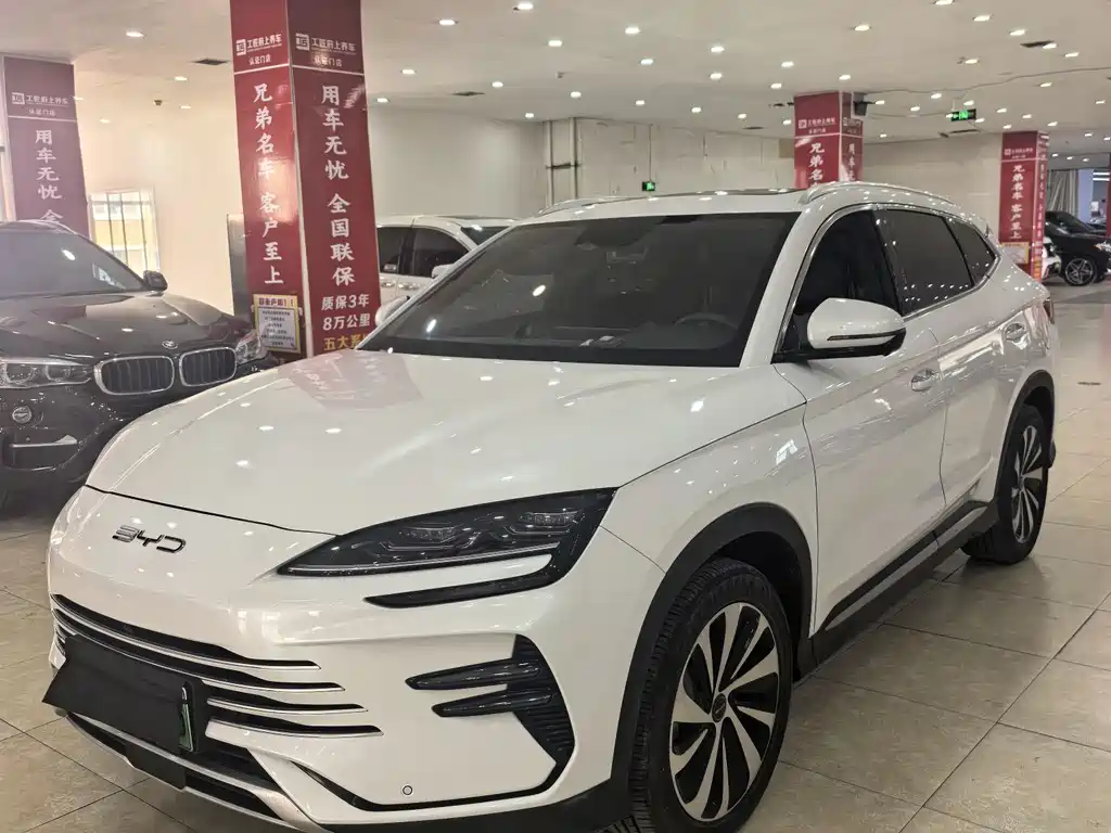 BYD PLUS New Energy 2024