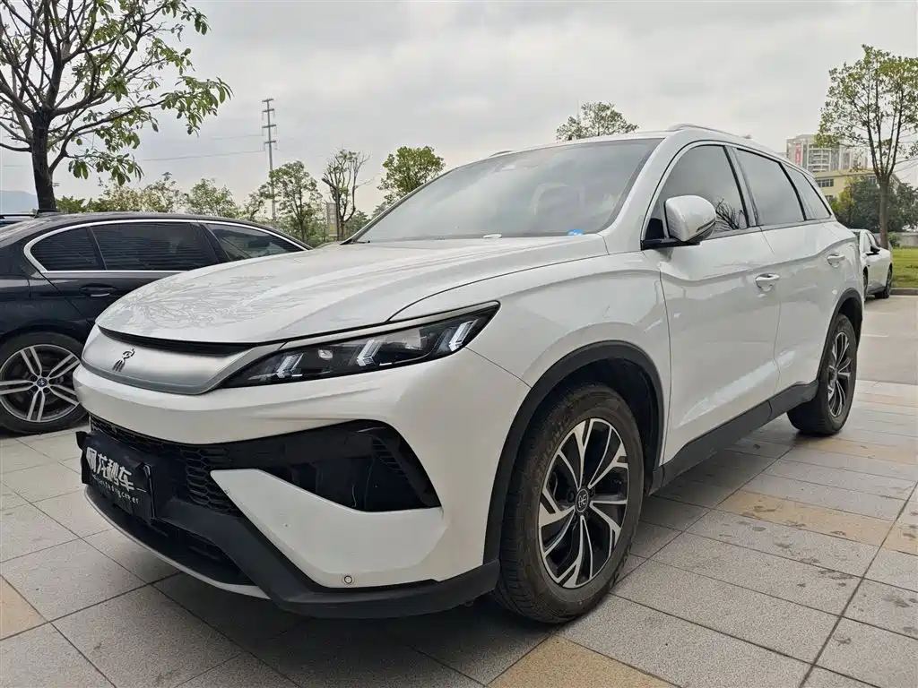 BYD Pro New Energy 2025
