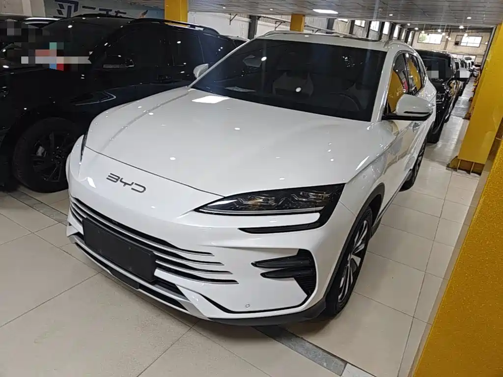 BYD PLUS New Energy 2024