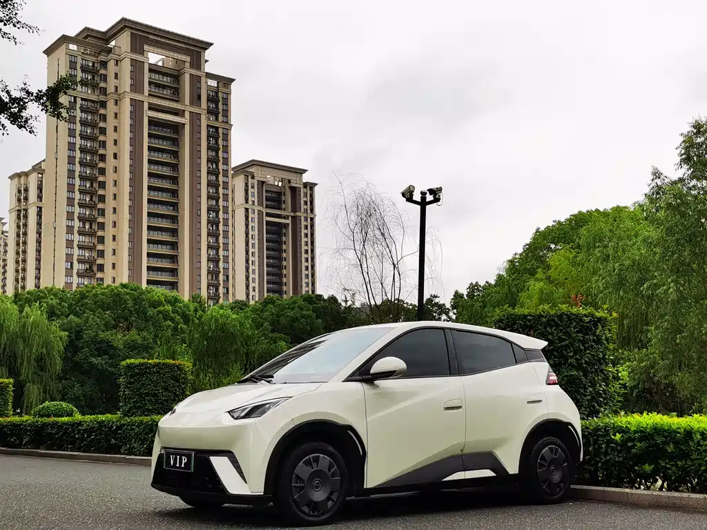 BYD Seagull 2023