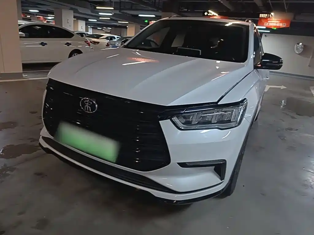 BYD Pro New Energy 2020