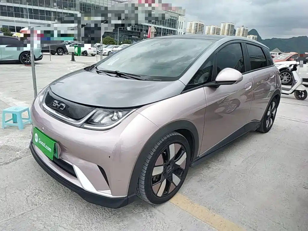 BYD Dolphin 2021