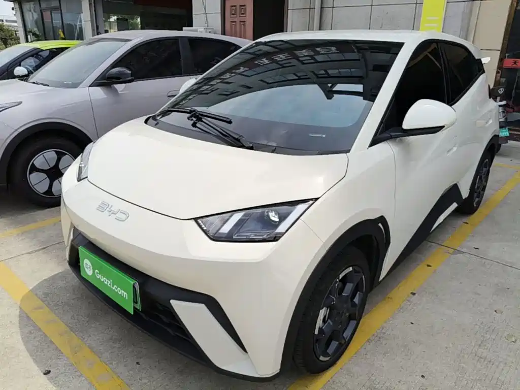 BYD Seagull 2024