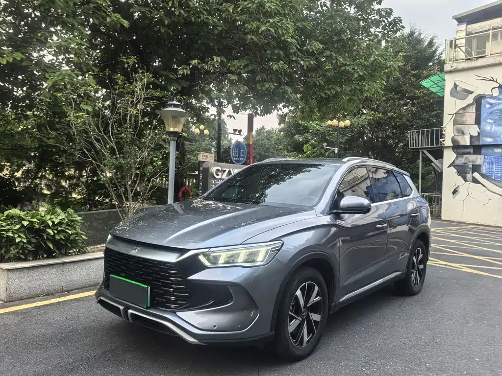 BYD Pro New Energy 2024