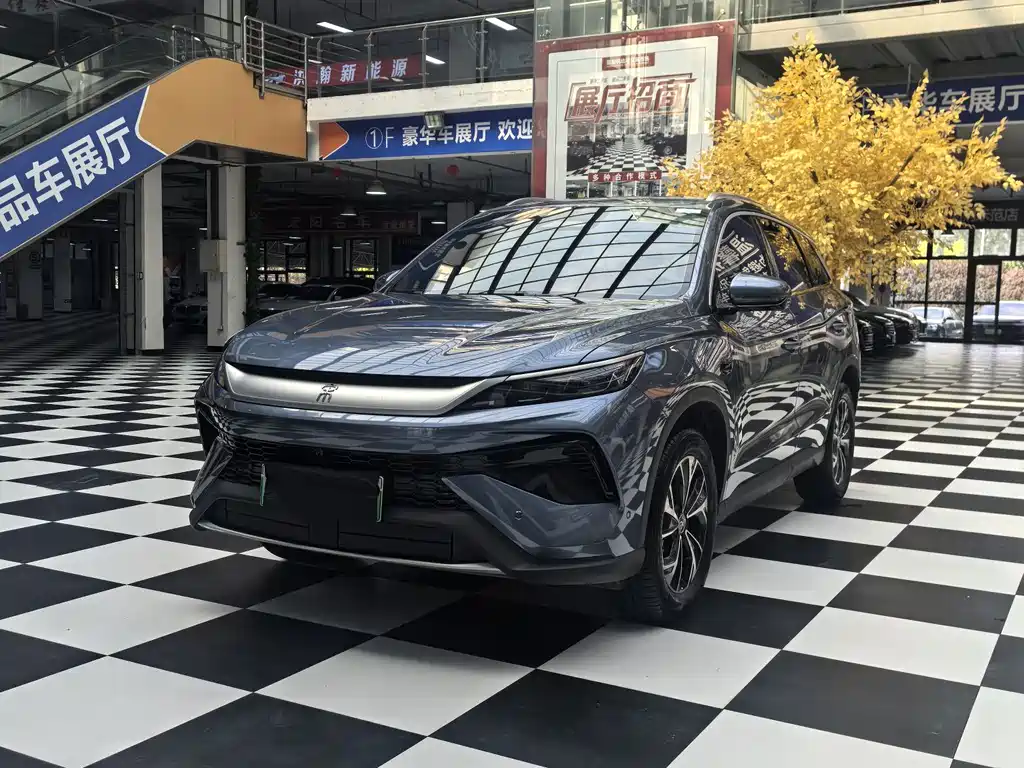BYD Pro New Energy 2025