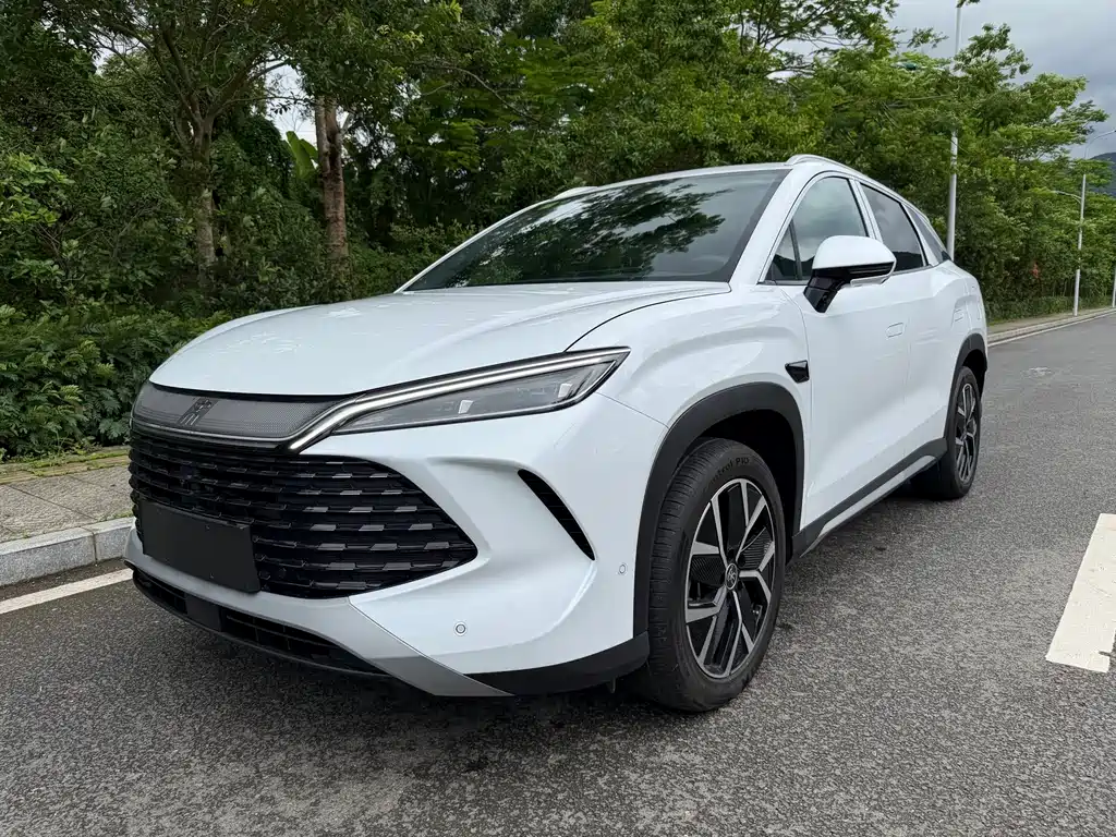 BYD L DM-i 2026