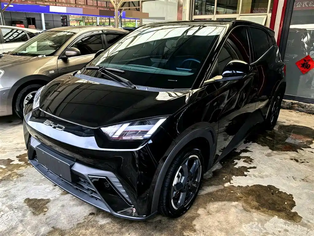 BYD Seagull 2024