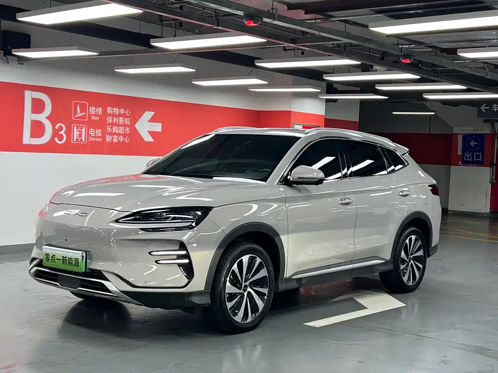 BYD PLUS New Energy 2024
