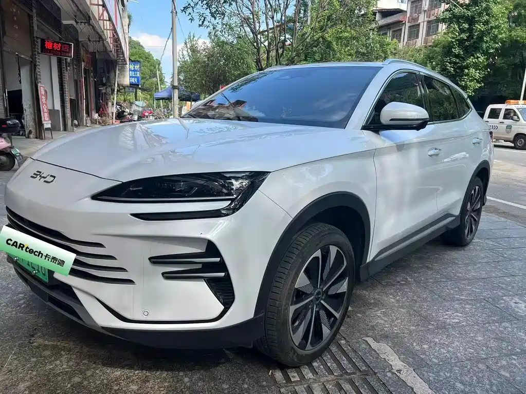 BYD PLUS New Energy 2024