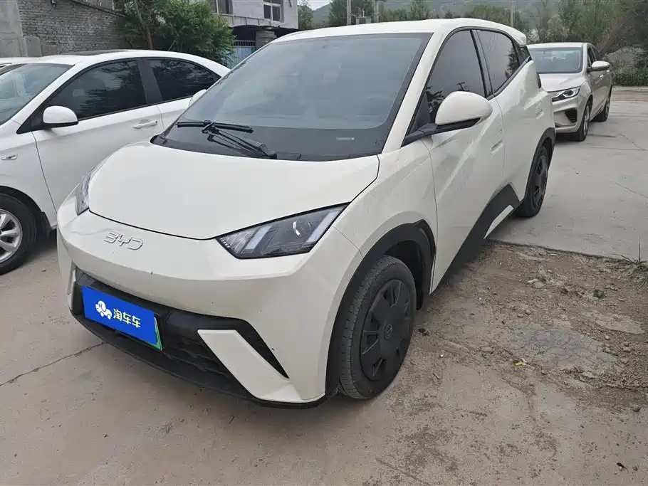 BYD Seagull 2024
