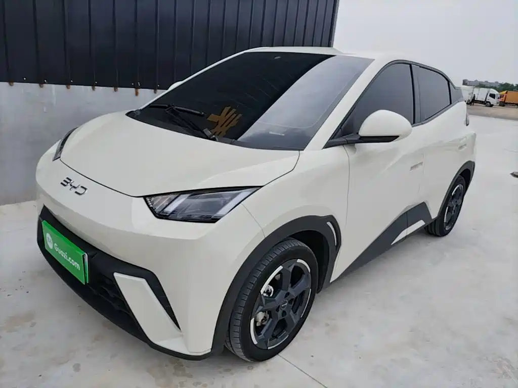 BYD Seagull 2024