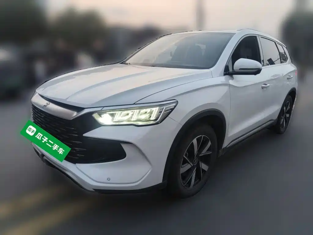 BYD Pro New Energy 2024