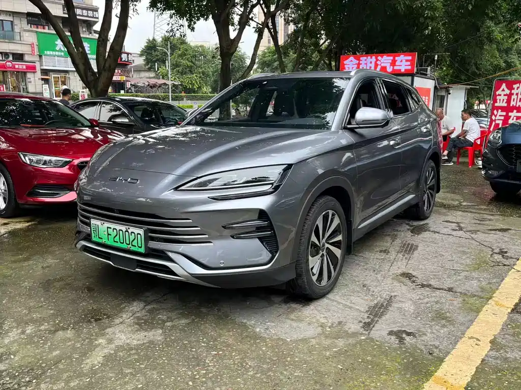 BYD PLUS New Energy 2024