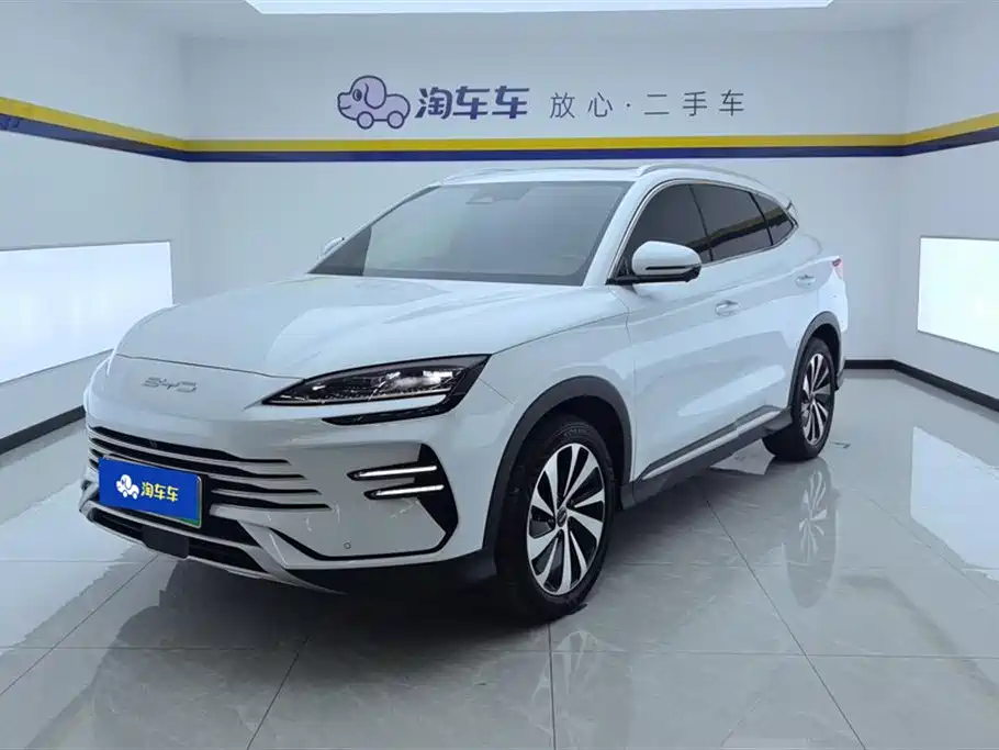BYD PLUS New Energy 2024