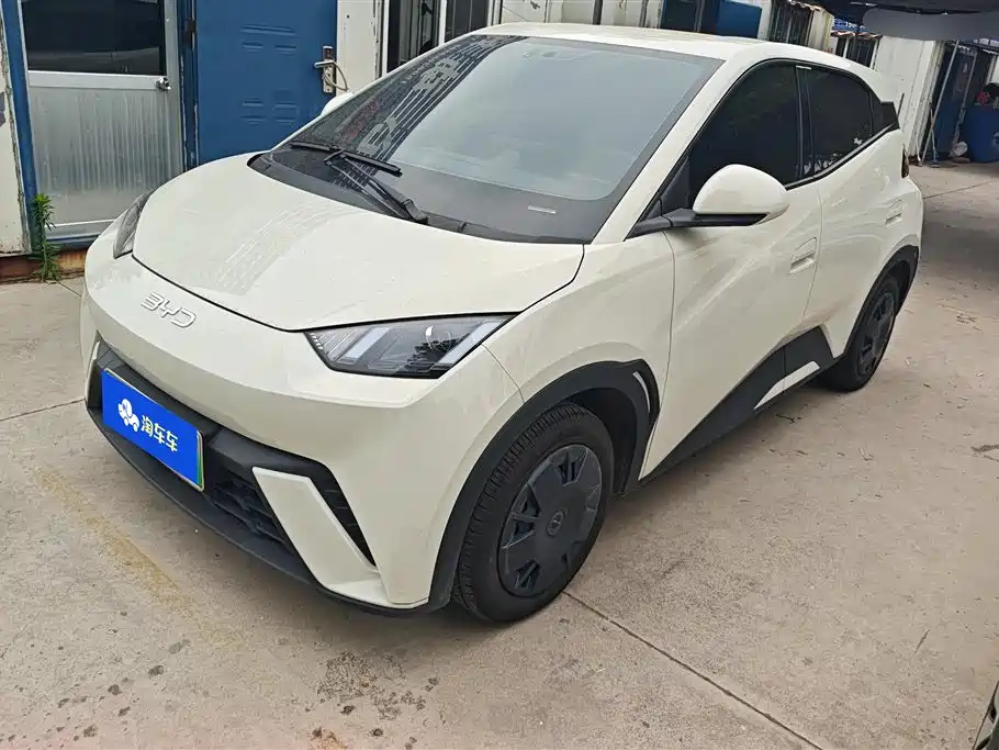 BYD Seagull 2024
