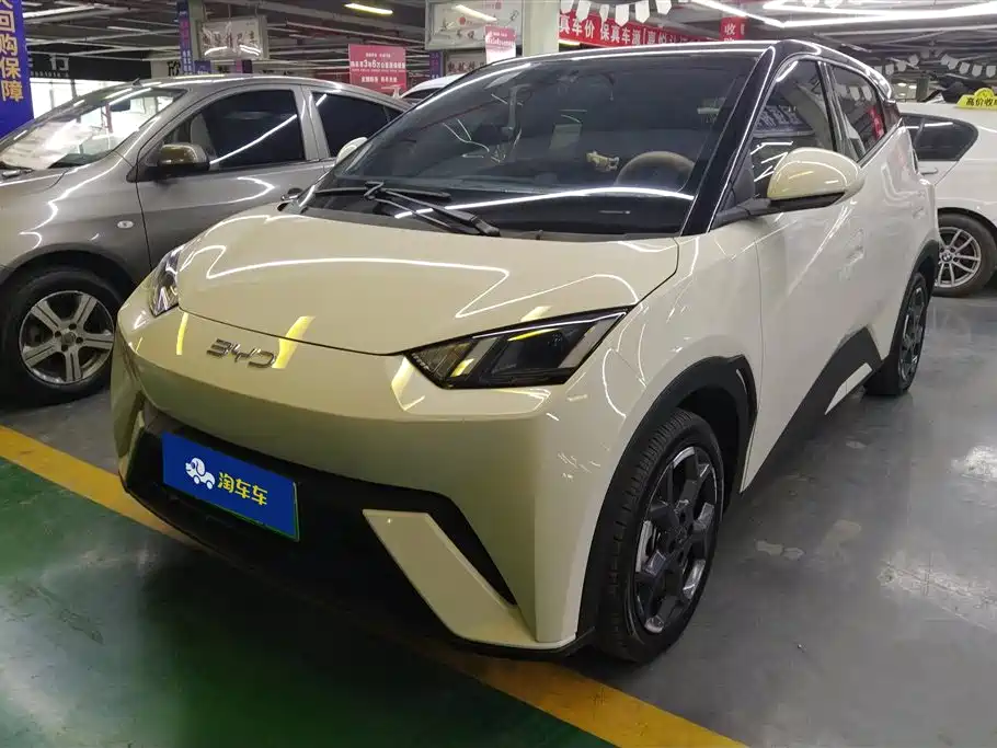 BYD Seagull 2024