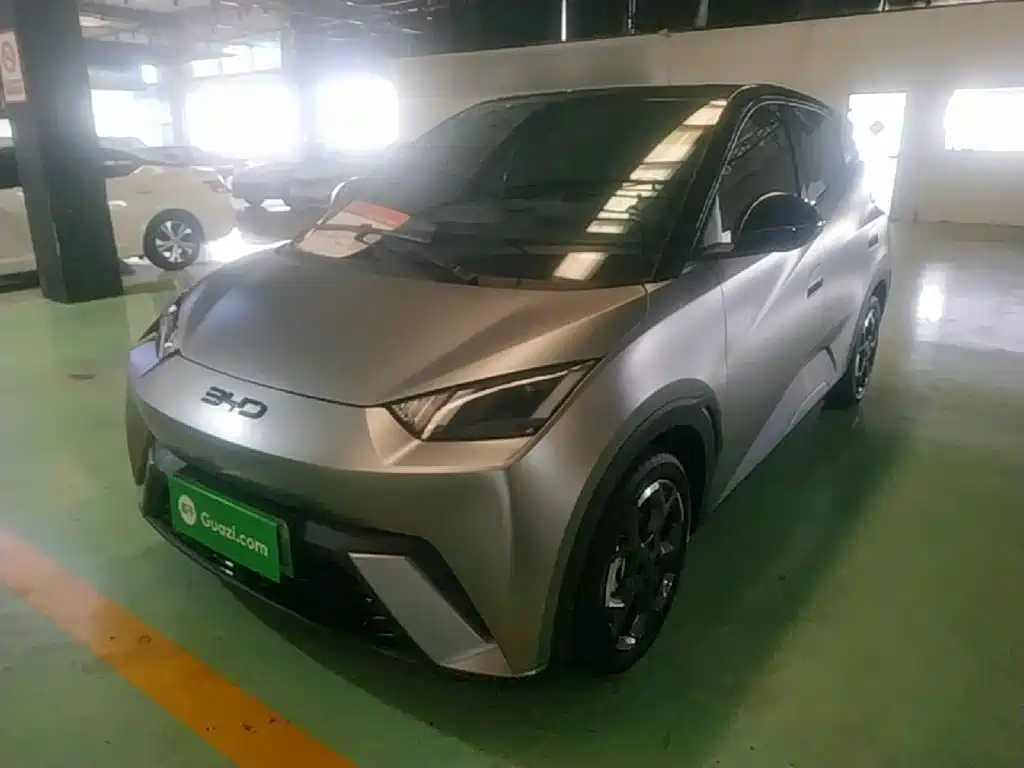 BYD Seagull 2024