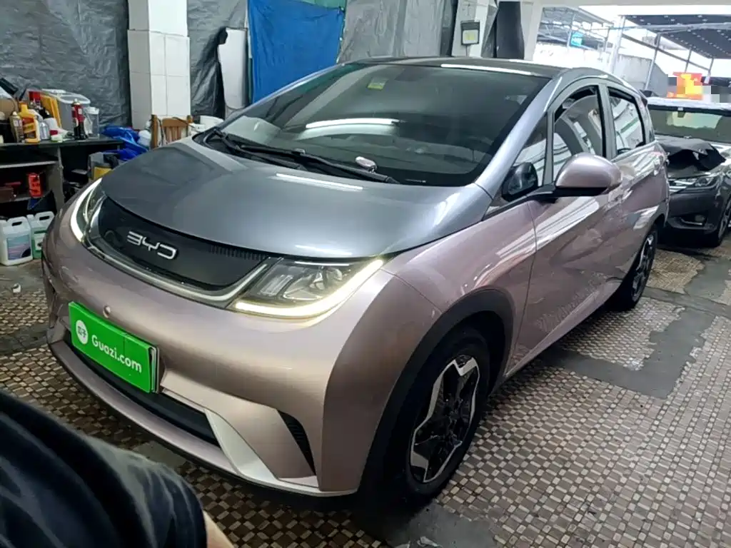 BYD Dolphin 2022