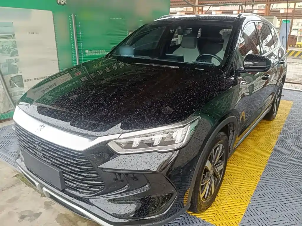 BYD Pro New Energy 2024