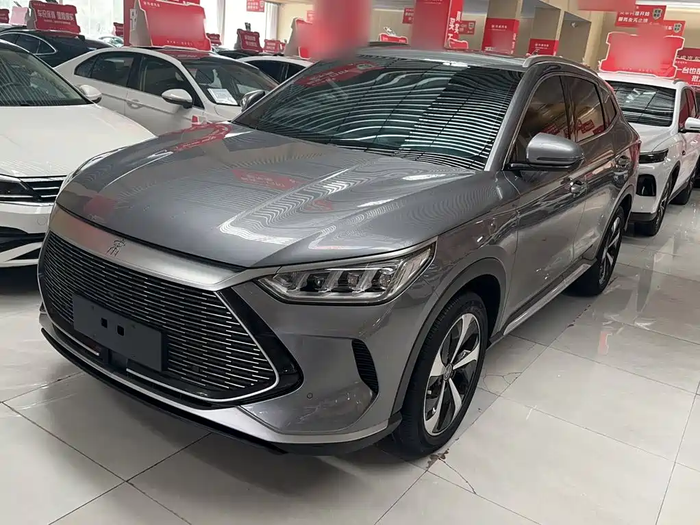 BYD PLUS New Energy 2022