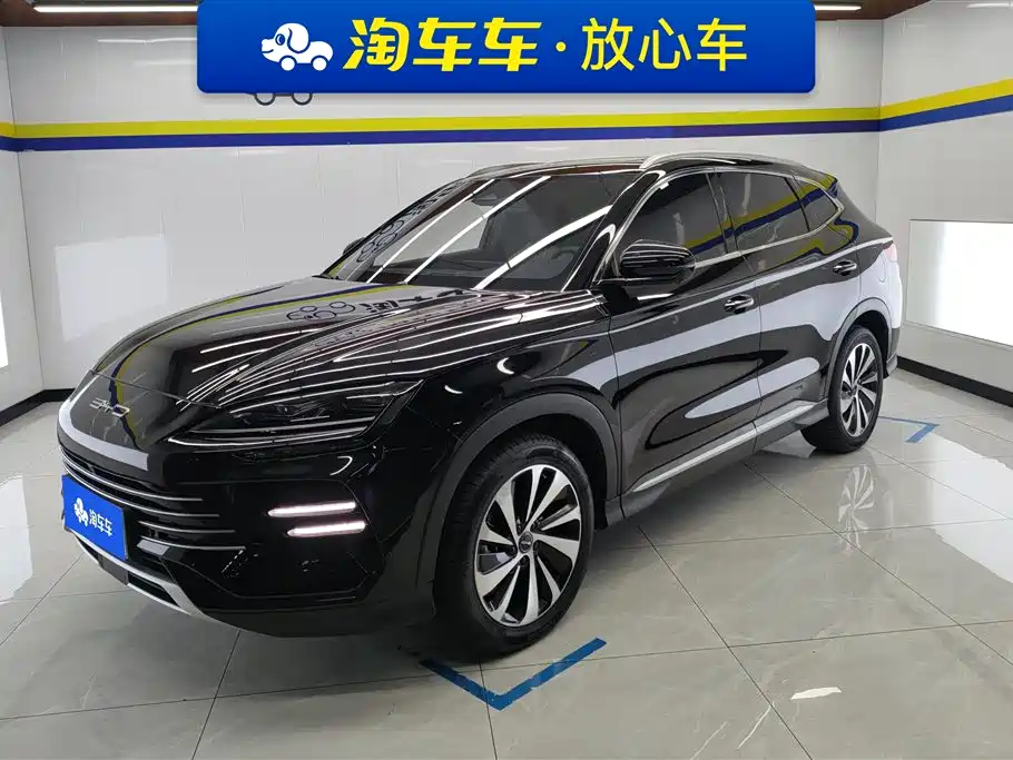BYD PLUS New Energy 2024