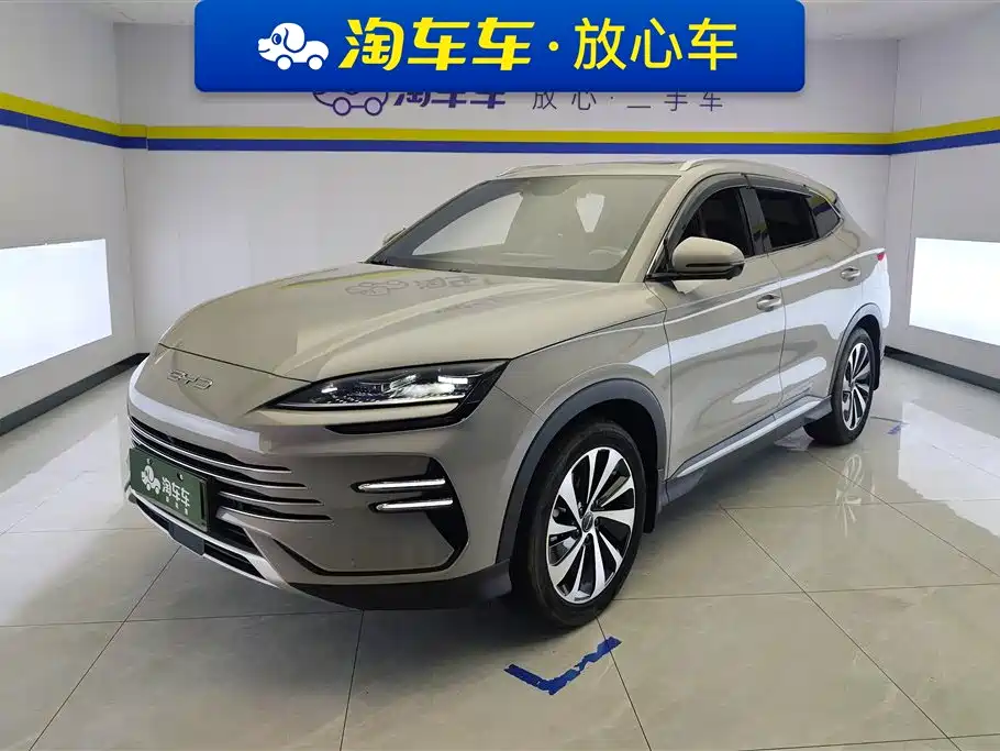 BYD PLUS New Energy 2024