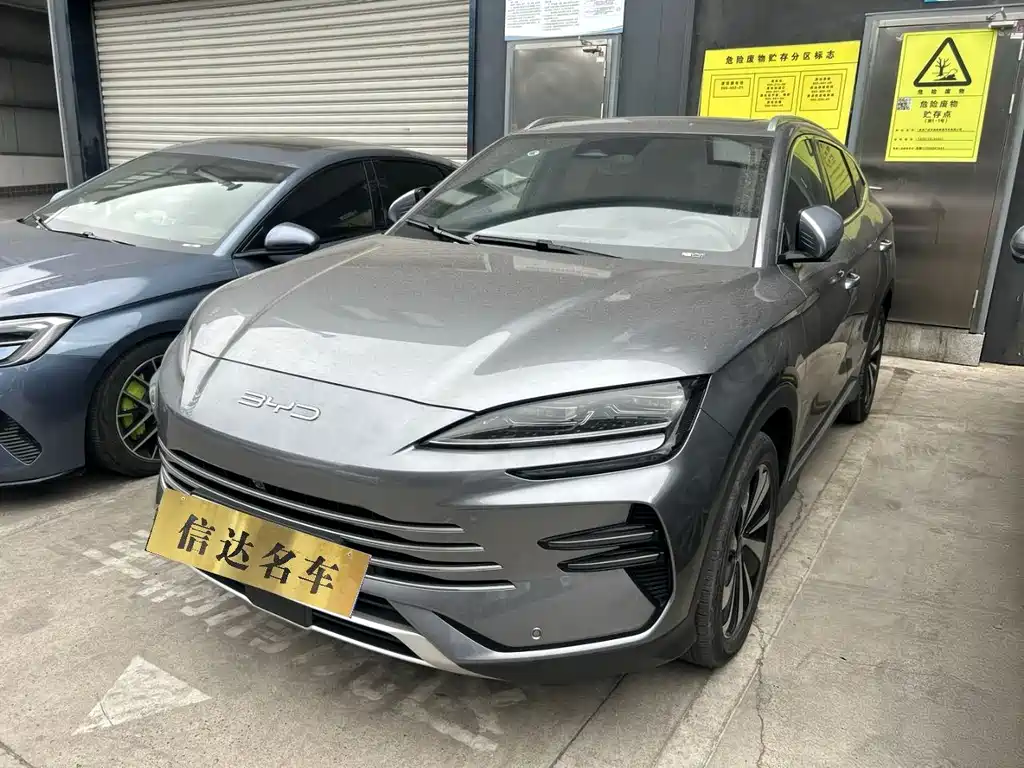 BYD PLUS New Energy 2024