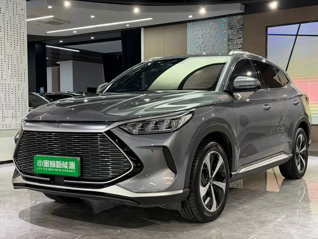 BYD PLUS New Energy 2023