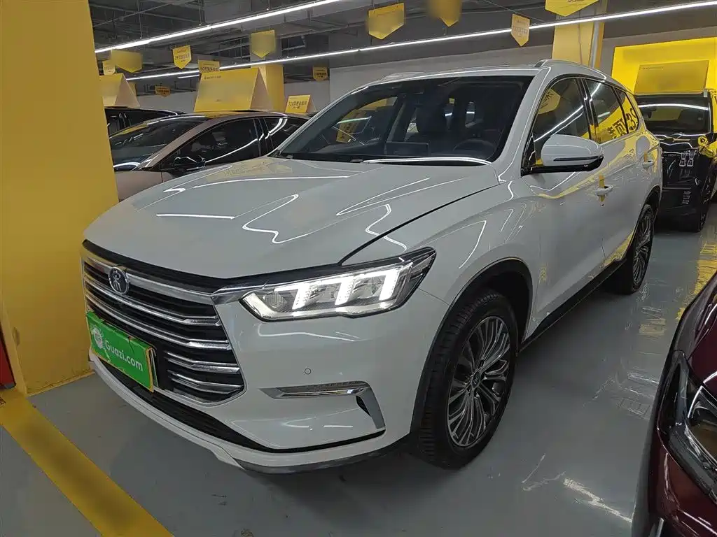 BYD Pro New Energy 2020