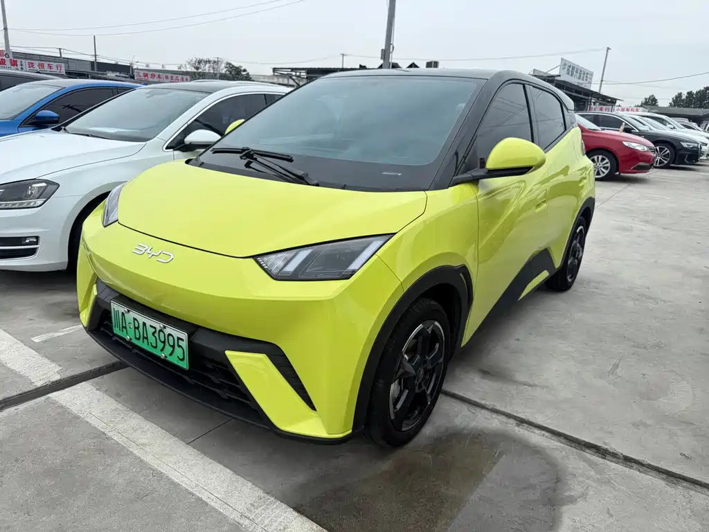 BYD Seagull 2024