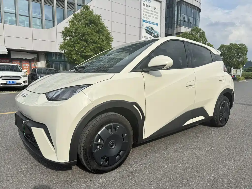 BYD Seagull 2024