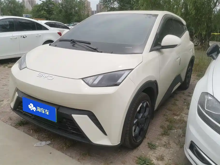 BYD Seagull 2024