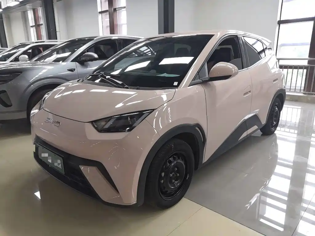 BYD Seagull 2024