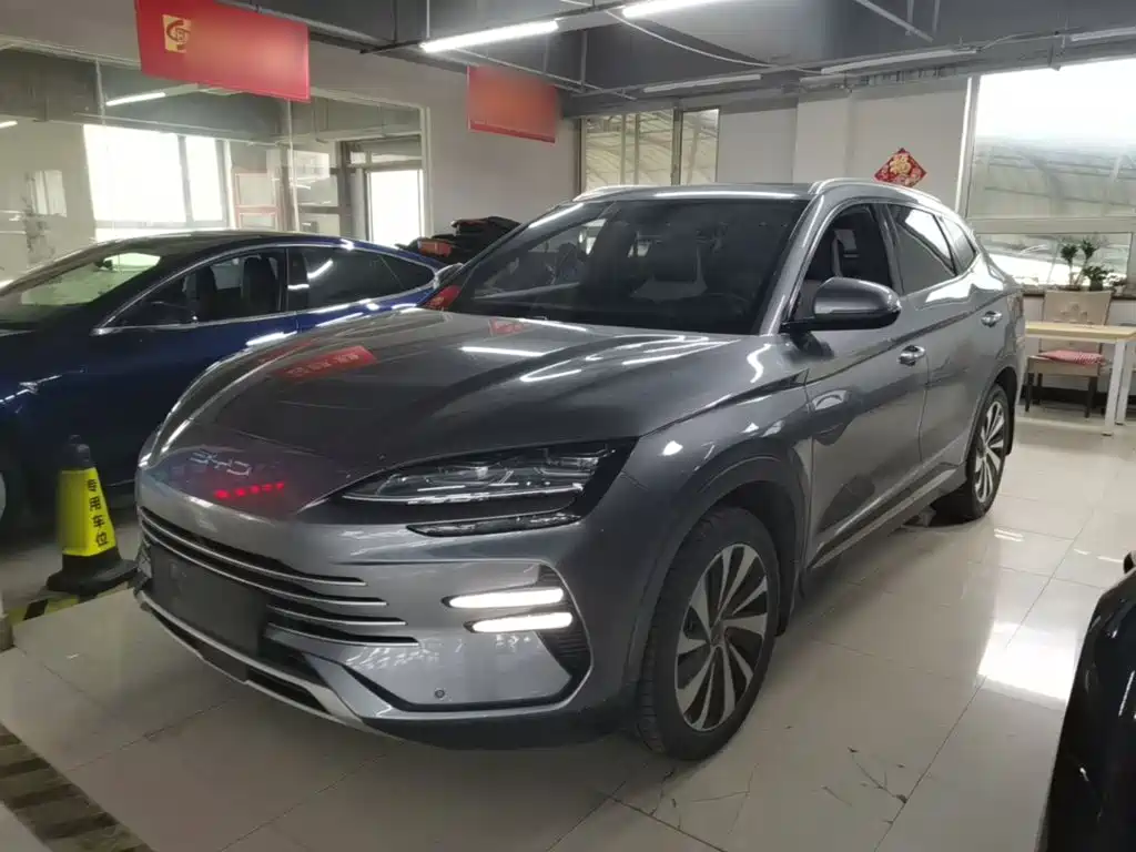 BYD PLUS New Energy 2024