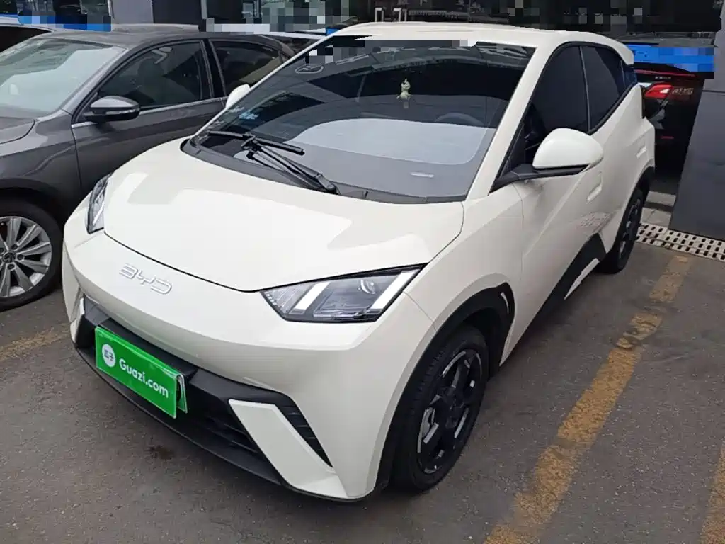 BYD Seagull 2024