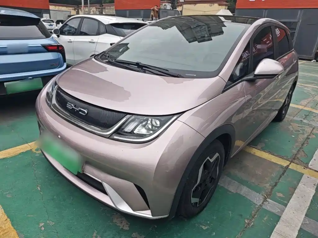 BYD Dolphin 2022